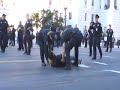 press arrested for filming hot polar bears