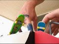 Finger Board Movie Finger Board Movie