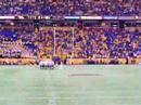 Bison vs Gophers