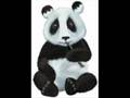 Panda Instructional Video