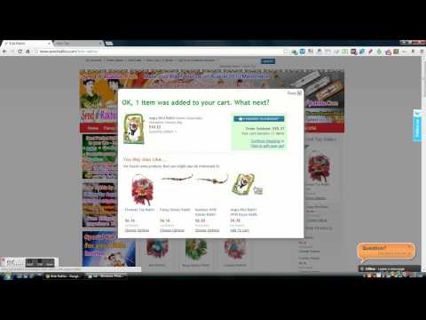 how to send a rakhi india