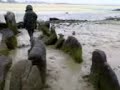 Plymouth Uni. (Truro College) students in Brittany