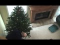 Rosary Army Video: From Jesse Tree to Christmas Tree Rosary Army Video: From Jesse Tree to Christmas Tree