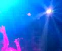 Warehouse Project 2006 - Missing In Manchester Rave Night 3