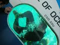 commercial diving school