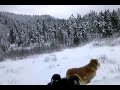 Sam and Randy sled