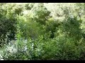 Buraco Roto - filme