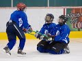 Academie de Hockey McDonald\