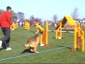 agility and what can go wrong