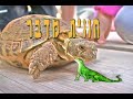 בואו לבקר וללון בחי נגב קיבוץ רביבים
