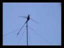 www.rockriver.us The following videos...