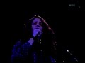 Soundgarden Flower (live mix)