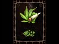 WEED ANTHEM