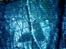 BUCK BEDDED DOWN (Video Series Part 2 of 6) BUCK BEDDED DOWN (Video Series Part 2 of 6)
