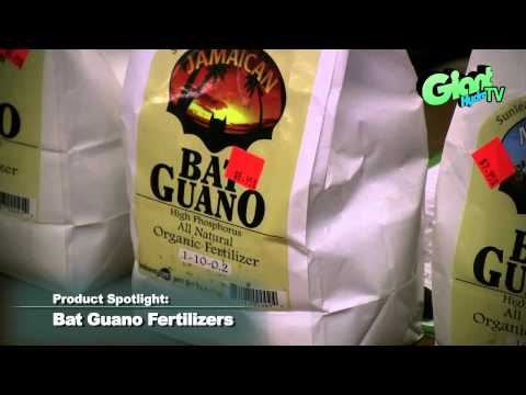 how to fertilize with bat guano