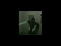 Jedi Tupiniquim
