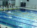 videos de Tesei Rosi Zoppi Marconi 100 sl Campionati Italiani Invernali UISP 2008
