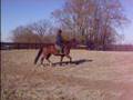 videos de HPIM0811.AVI