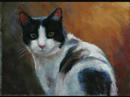 Cat Pastel Demo with Music Cat Pastel Demo with Music