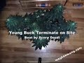 Young buck (new g-unit diss ) beat by scorp dezel
