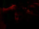 Baker Head Shaved
