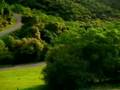 Video Relax