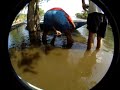 Rio Tapajos - 