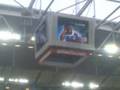 Schalke Arena