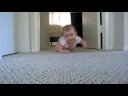Haven Rolling and Crawling