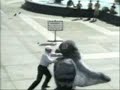 human vs pigeon human vs pigeon