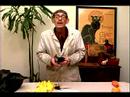 Realm of Bizarre News: Vol 1 : Bizarre Hairball Stories