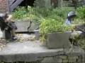 videos de Untold the Movie Part 1