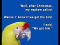 talking birds are yummy talking birds are yummy