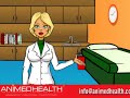 La Hipertensión Arterial - Animed Health