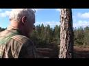 Elgjakt med Jaktjan.com Episode 2.