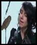 PJ Harvey Grow Grow Grow LIVE