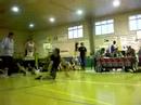 El 5 Criterio VS Elements Crew