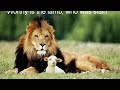 teledysk, klip, Jeremy Camp,- I Surrender To You