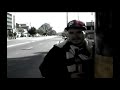 Cementerio-Zebra