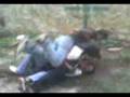 cobach 13 bolita