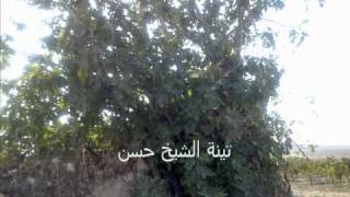 صيدون - الرملة