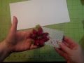 Snip and Fold Teeny Mini Album