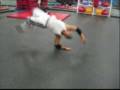 videos de Bboy Kiko 2008