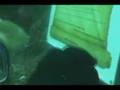  - Piczo Movies Video