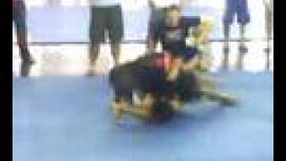 SAEGrappling Games เมื่อ ผู้หญิง ลงปล้ำสู้กับ ผู้ชาย ภาพใหม่ครับ