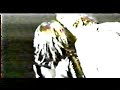 Zappa-Lennon3