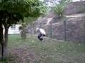 parkour ocaña