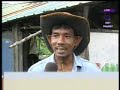 Cow Manure Energy