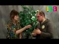 Dan Deacon Interview PUBLIC ACCESS T.V. The Freshest!!!
