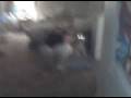 videos de Skeeter, GO TO BED!
